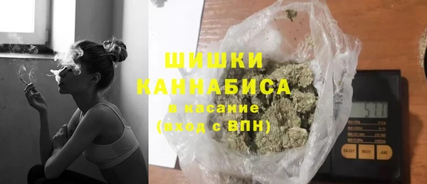шишки Алексин