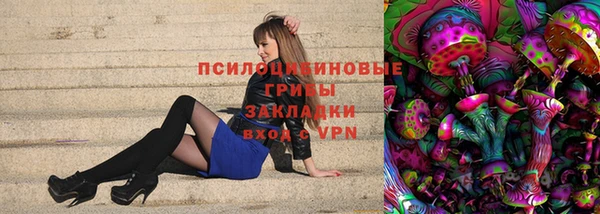 прущая мука Алзамай